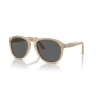 PERSOL PO 0649 1169B1