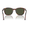 PERSOL PO 3355S 24/31