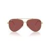 Ray-Ban AVIATOR REVERSE RB R0101S 001/69