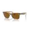 Ray-Ban WAYFARER CHANGE RB 2140 140833