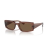 Ray-Ban KILIANE RB 4395 667873