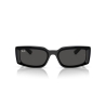 Ray-Ban KILIANE RB 4395 667787