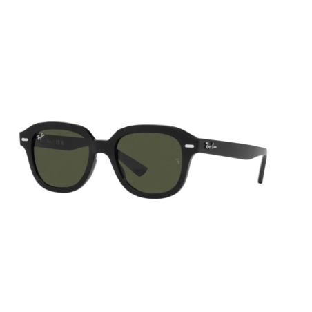 Ray-Ban ERIK RB 4398 901/31