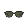 Ray-Ban ERIK RB 4398 901/31