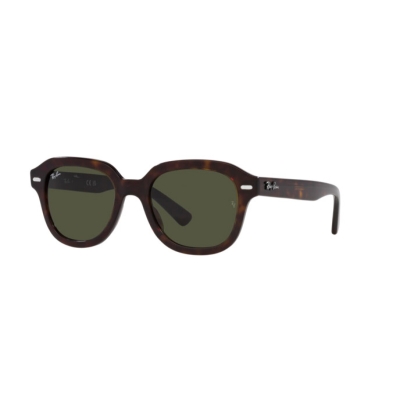 Ray-Ban ERIK RB 4398 902/31