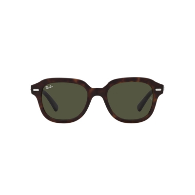 Ray-Ban ERIK RB 4398 902/31