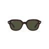 Ray-Ban ERIK RB 4398 902/31