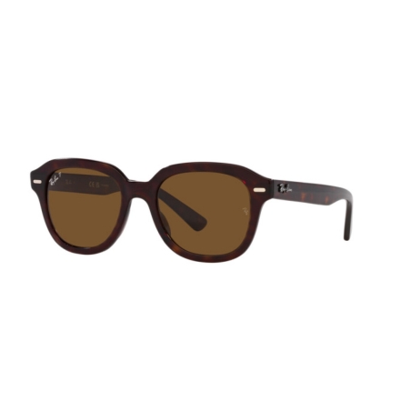 Ray-Ban ERIK RB 4398 902/57