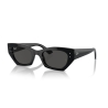 Ray-Ban ZENA RB 4430 667787