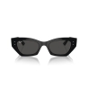 Ray-Ban ZENA RB 4430 667787