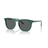 Ray-Ban RB 2210 6615B1