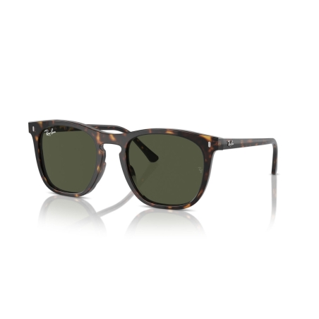 Ray-Ban RB 2210 902/31