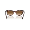 Ray-Ban WAYFARER OVAL RB 2242 133451