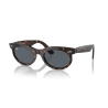 Ray-Ban WAYFARER OVAL RB 2242 902/R5