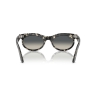 Ray-Ban WAYFARER OVAL RB 2242 133371