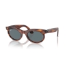 Ray-Ban WAYFARER OVAL RB 2242 954/3R