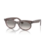 Ray-Ban WAYFARER OVAL CHANGE RB 2242 138432