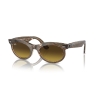 Ray-Ban WAYFARER OVAL CHANGE RB 2242 138685