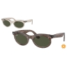 Ray-Ban WAYFARER OVAL CHANGE RB 2242 138331