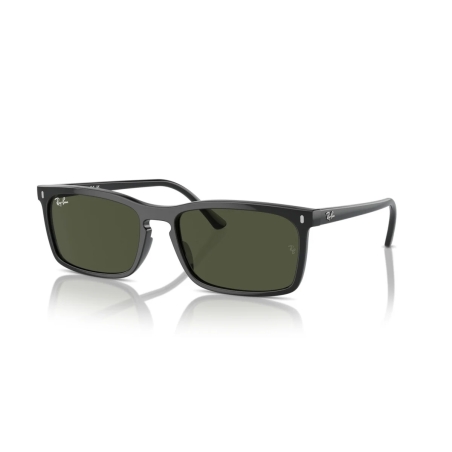 Ray-Ban RB 4435 901/31