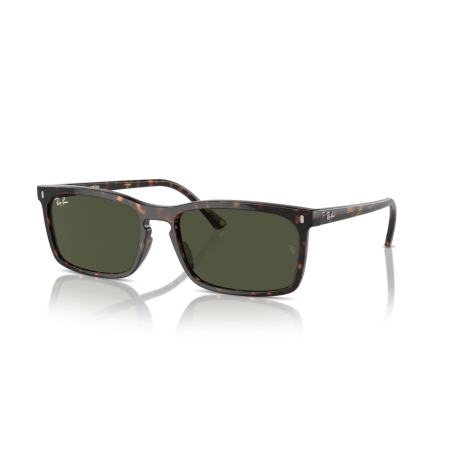 Ray-Ban RB 4435 902/31