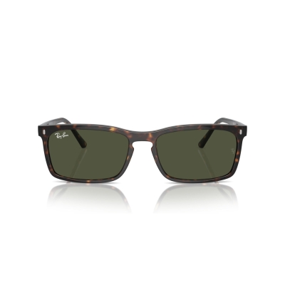 Ray-Ban RB 4435 902/31