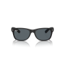 Ray-Ban NEW WAYFARER RB 2132 622/R5