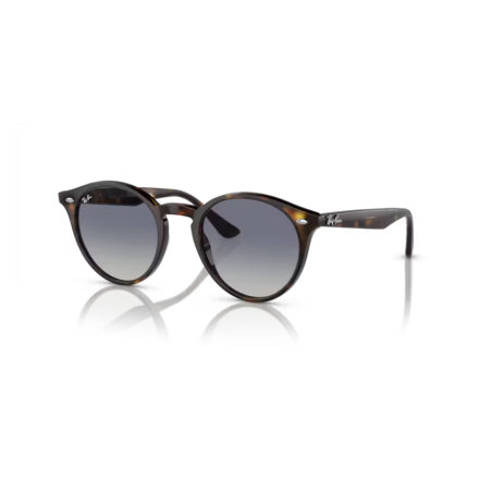 Ray-Ban RB 2180 710/4L