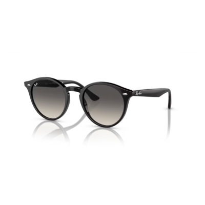 Ray-Ban RB 2180 601/11