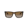 Ray-Ban JUSTIN RB 4165 865/T5