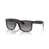 Ray-Ban JUSTIN RB 4165 865/8S