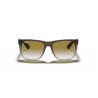 Ray-Ban JUSTIN RB 4165 854/7Z