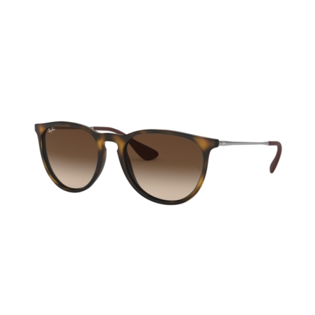 Ray-Ban ERIKA RB 4171 865/13