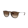 Ray-Ban ERIKA RB 4171 865/13