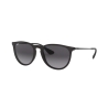 Ray-Ban ERIKA RB 4171 622/8G