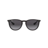 Ray-Ban ERIKA RB 4171 622/8G