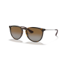 Ray-Ban ERIKA RB 4171 710/T5