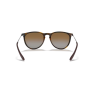 Ray-Ban ERIKA RB 4171 710/T5