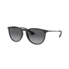 Ray-Ban ERIKA RB 4171 622/T3