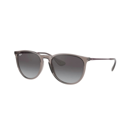 Ray-Ban ERIKA COLOR MIX RB 4171 65138G