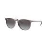 Ray-Ban ERIKA COLOR MIX RB 4171 65138G