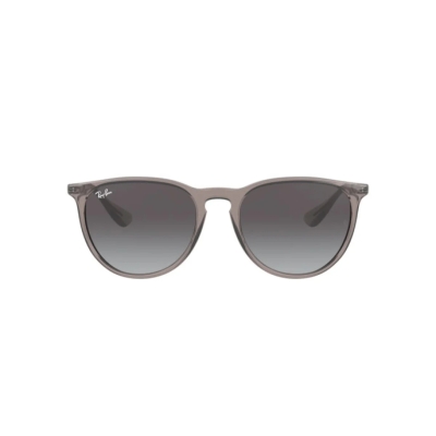 Ray-Ban ERIKA COLOR MIX RB 4171 65138G