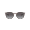 Ray-Ban ERIKA COLOR MIX RB 4171 65138G