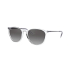 Ray-Ban ERIKA COLOR MIX RB 4171 651611