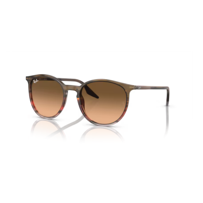 Ray-Ban RB 2204 13953B