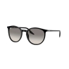 Ray-Ban RB 2204 901/32