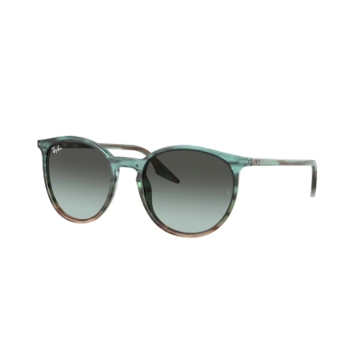 Ray-Ban RB 2204 1394GK