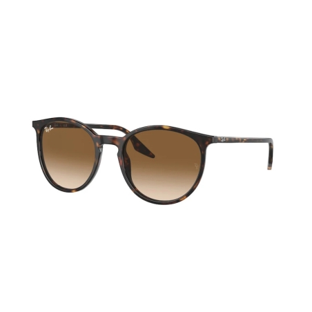 Ray-Ban RB 2204 902/51