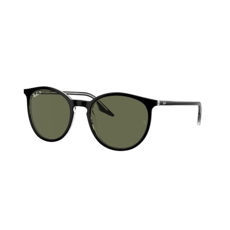 Ray-Ban RB 2204 919/58