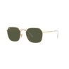 Ray-Ban  JIM RB 3694 001/31